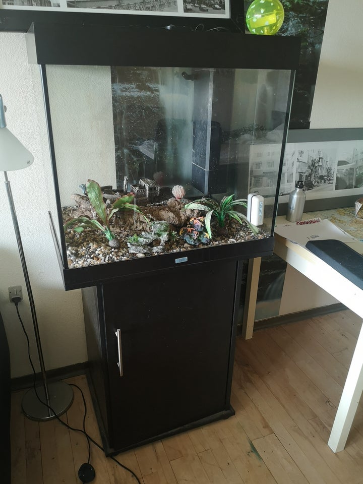 Akvarium, 200 liter