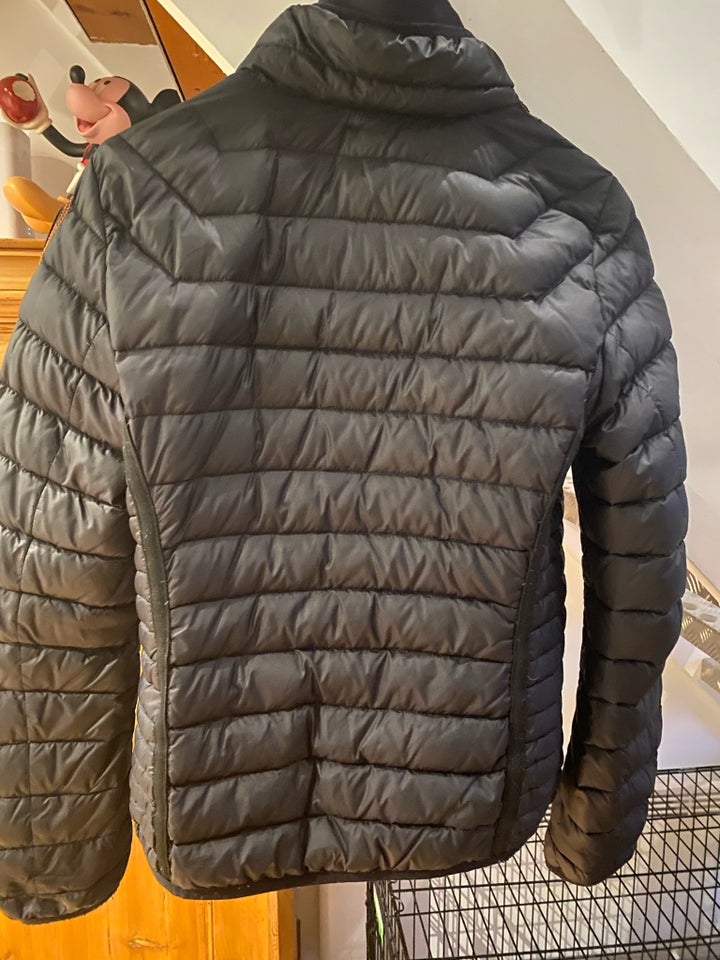 Jakke, str. 36, Parajumpers