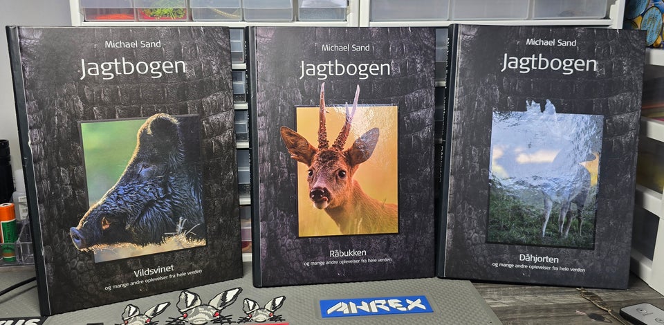 Jagtbogen, Michael sand, emne: