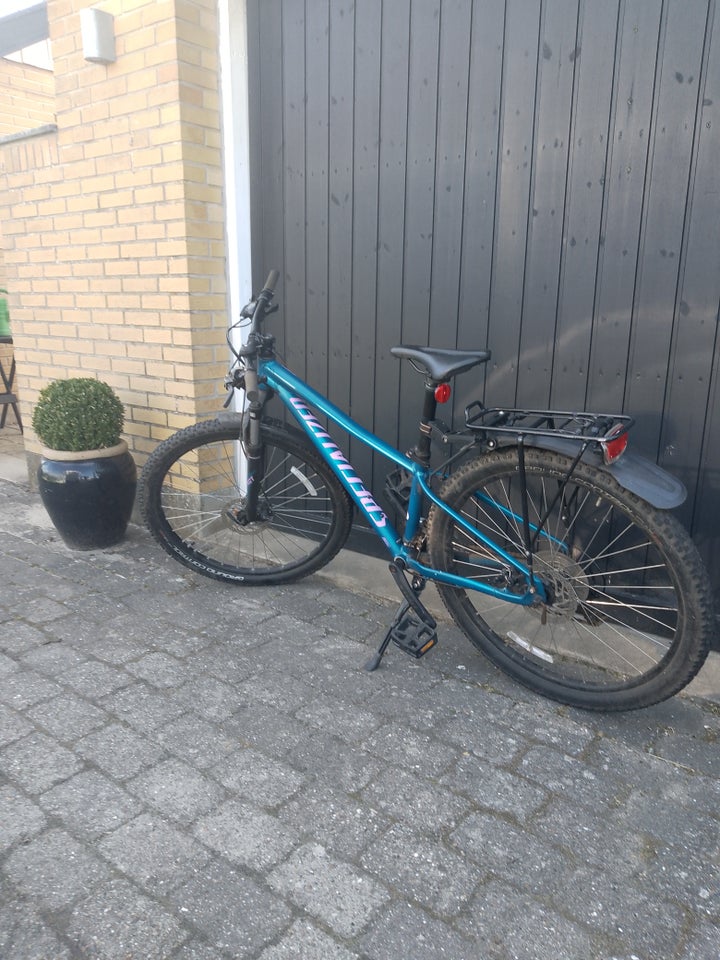 Specialized hardtail 24 gear