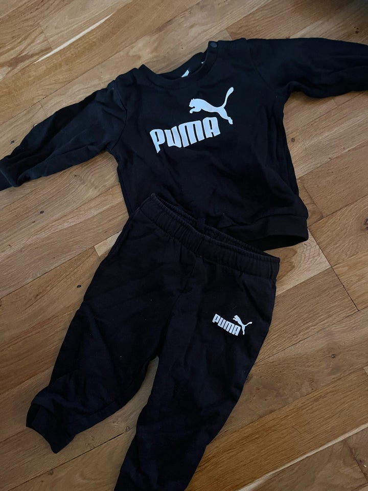 Sæt, …, Puma