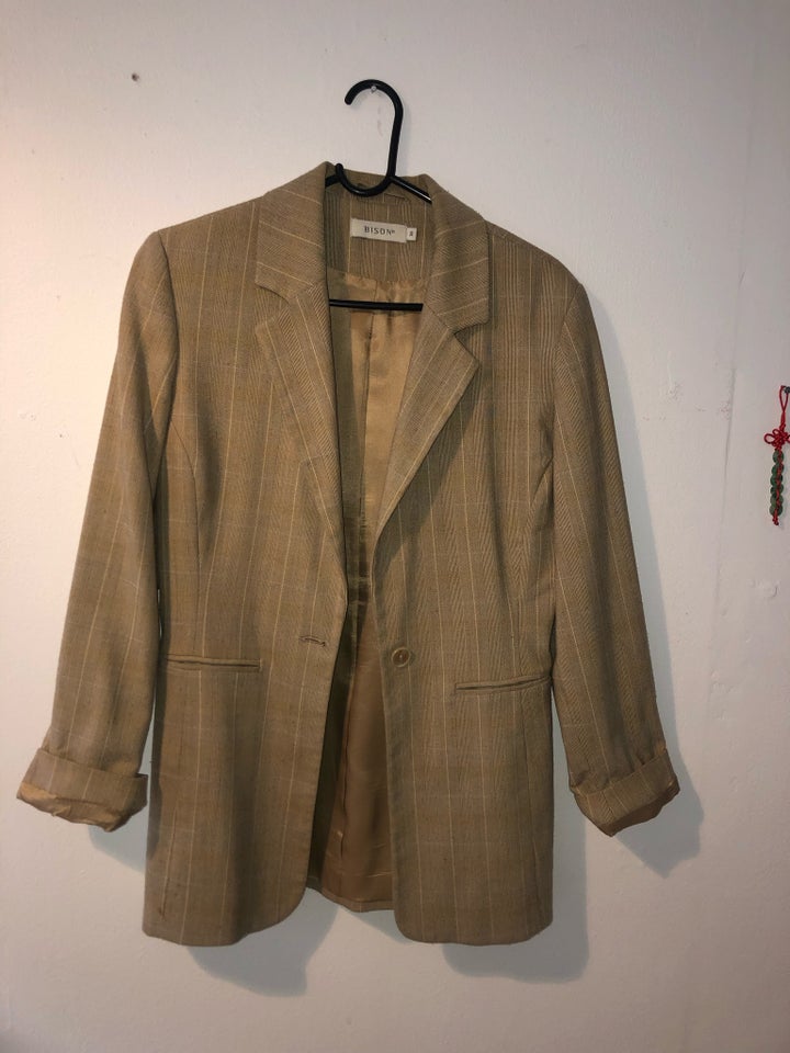 Blazer, str. 36, Bison