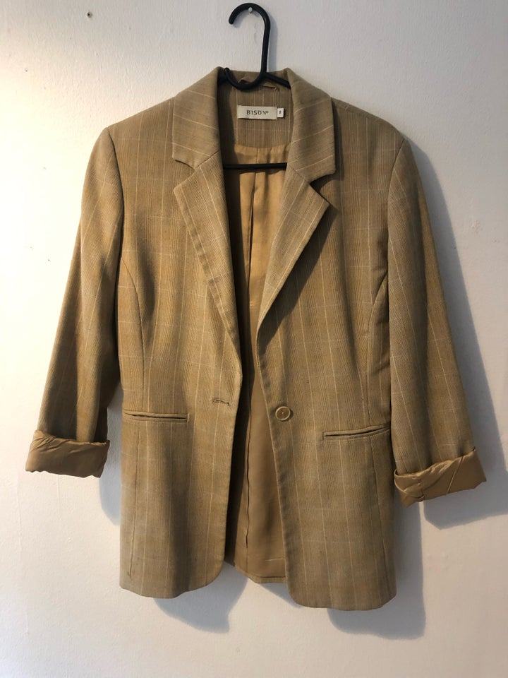 Blazer, str. 36, Bison