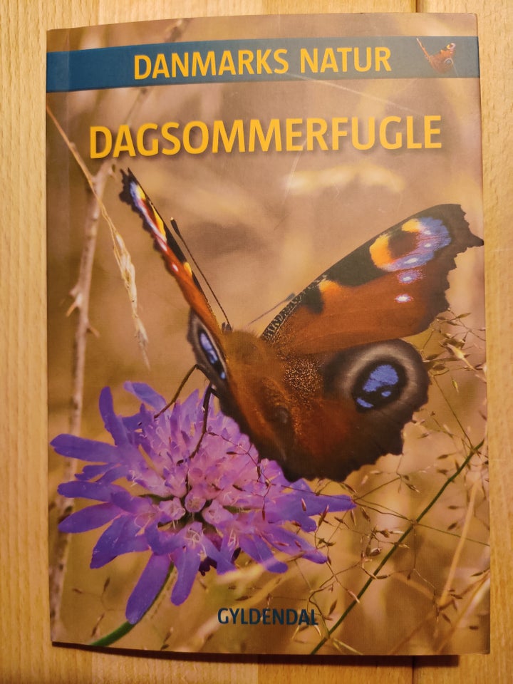 Dagsommerfugle, Steen Drozd Lund,