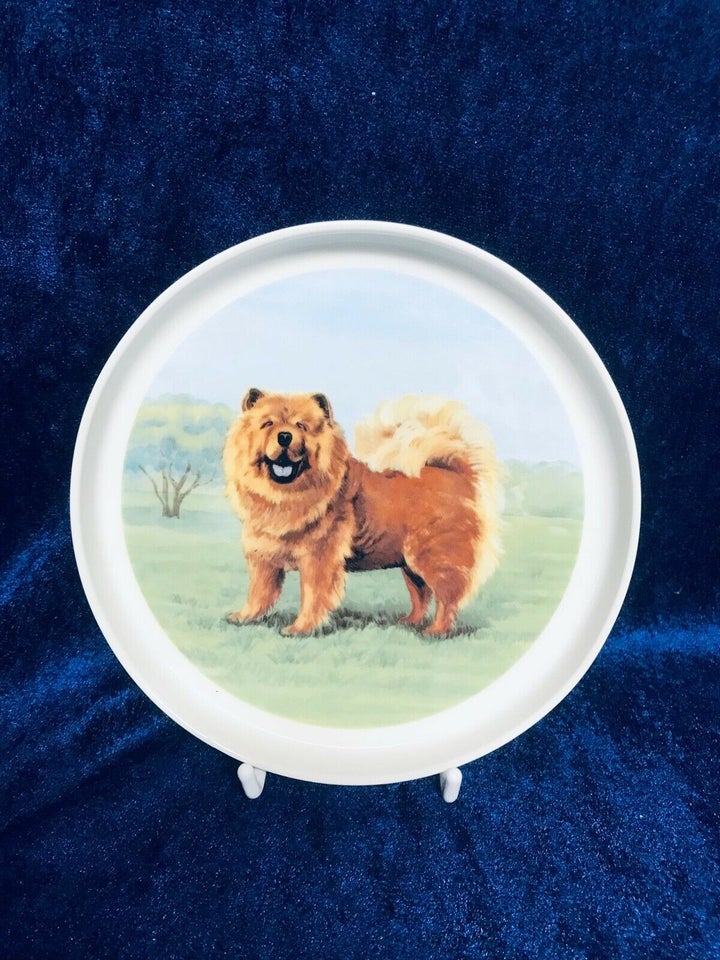 CHOW CHOW