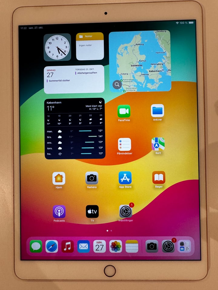 iPad Pro, 256 GB, God