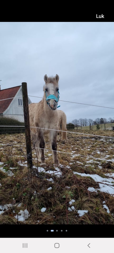 Opstaldning tilbydes