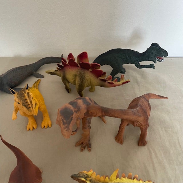 Dinosaurus, Diverse dinoer