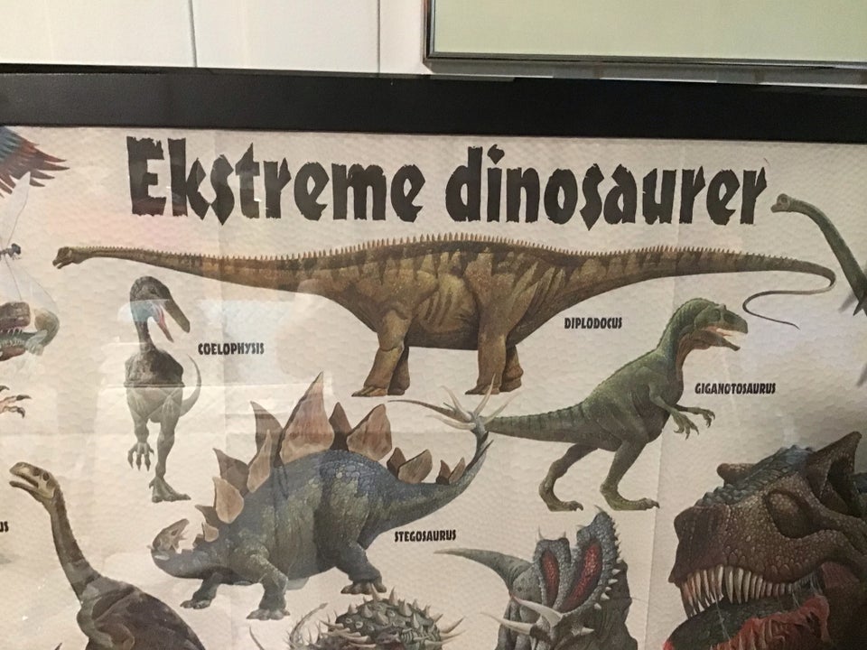 Plakat motiv: Dinosaurer b: 75 h: