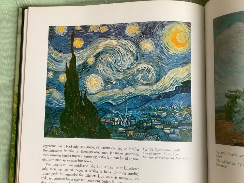 Kunstbog, Van Gogh, motiv: