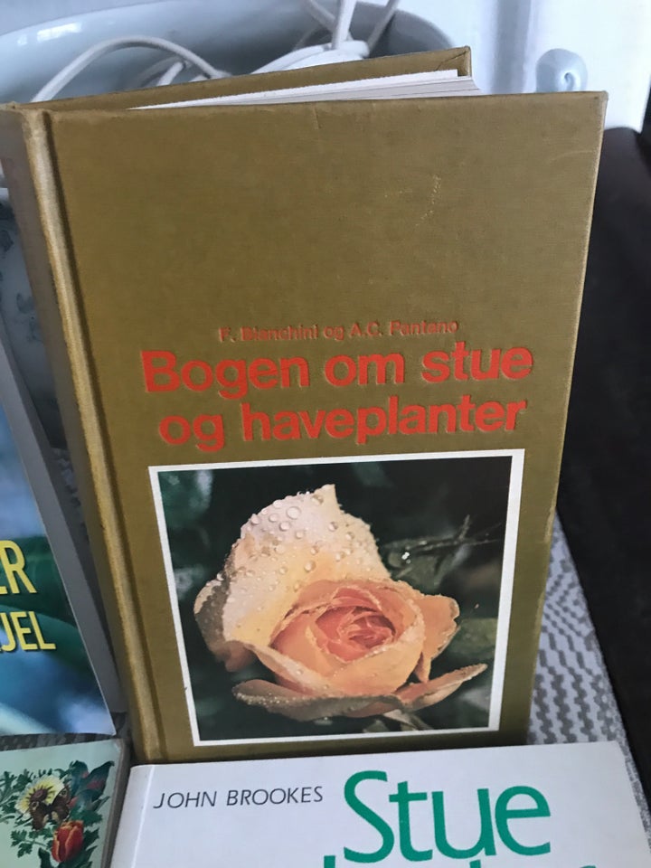 Stueplanter du ikke kan slå ihjel. M