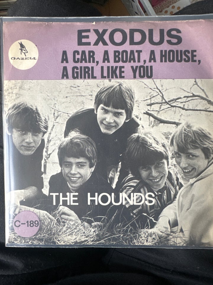 Single, The hounds