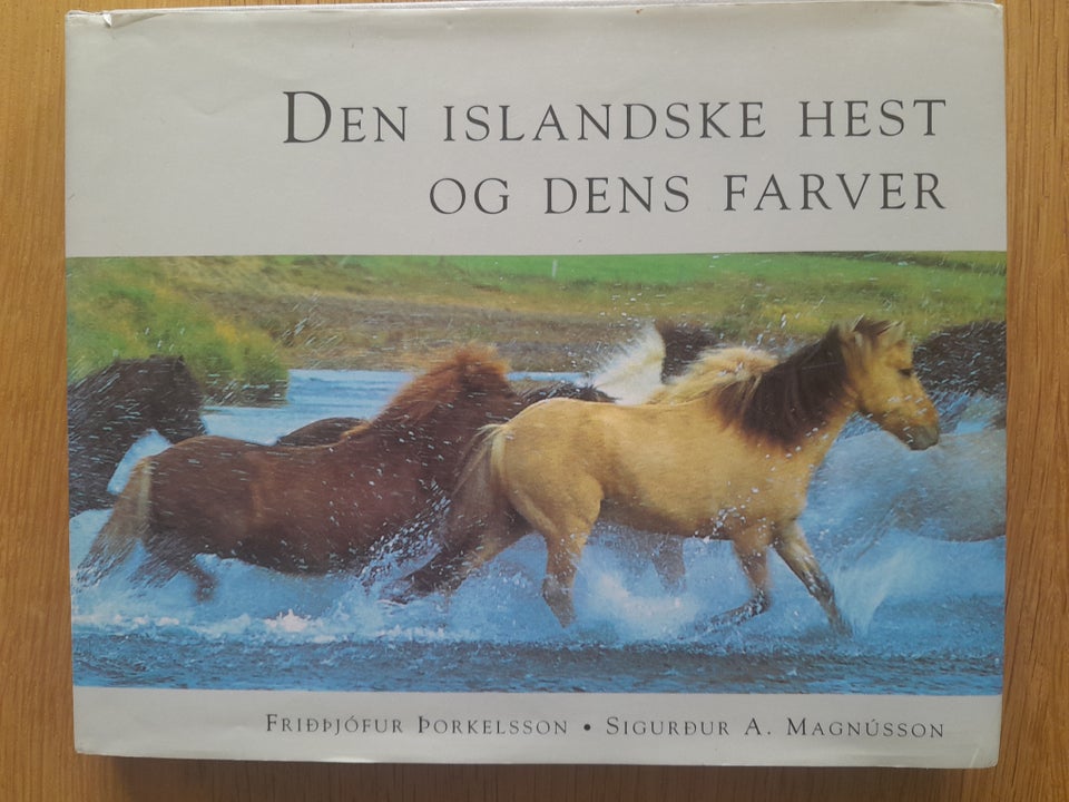 Den islandske hest - farver,