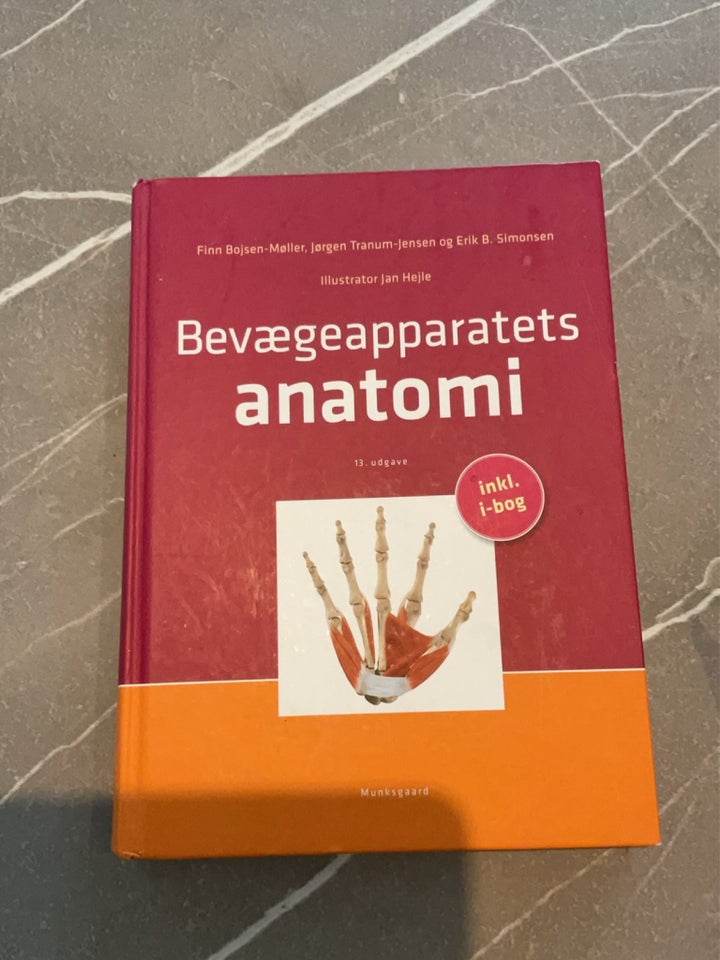 Bevægelsesapparatets anatomi 