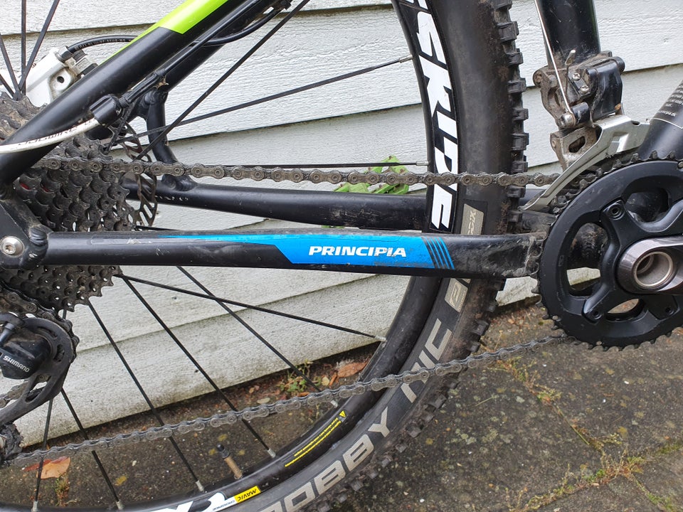 Principia MSL 29" hardtail 15