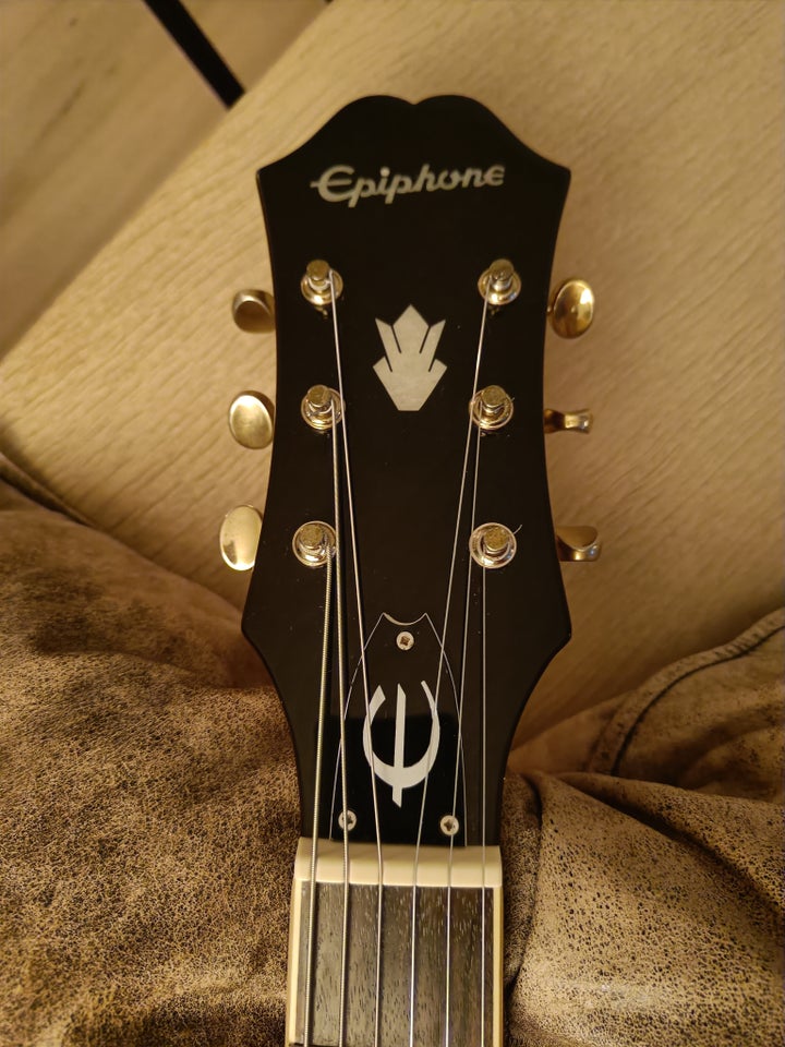 Elguitar, Epiphone Riviera Custom