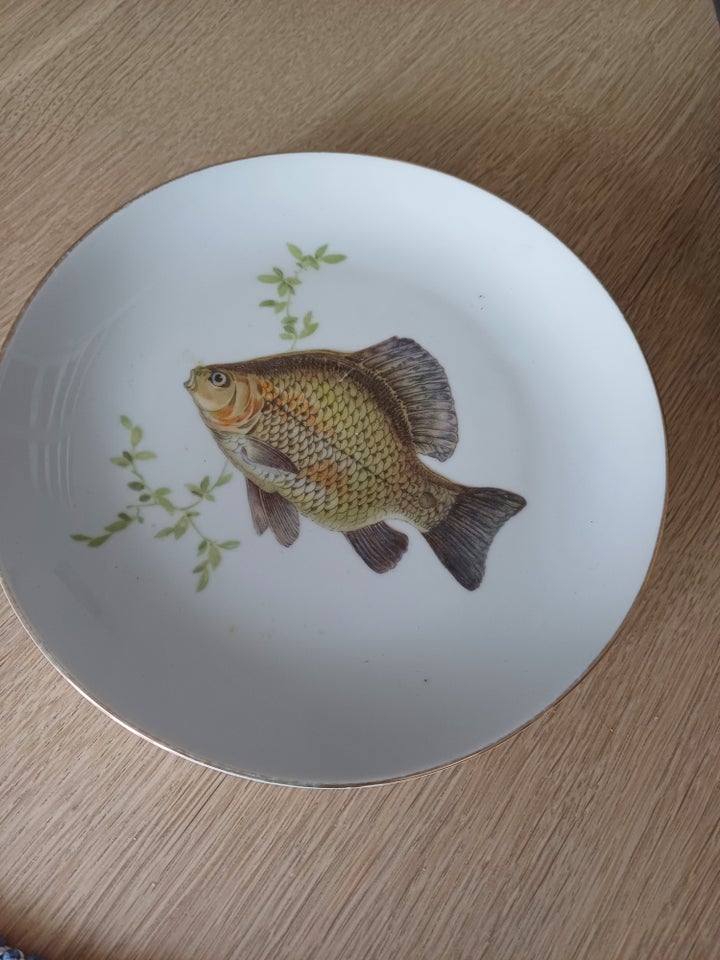 Porcelæn Frokost tallerkener