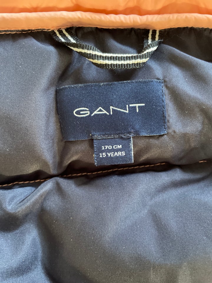 Vest, Dunvest, Gant