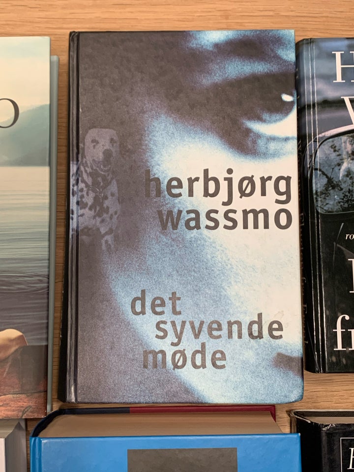 Herbjørg Wassmo romaner Herbjørg