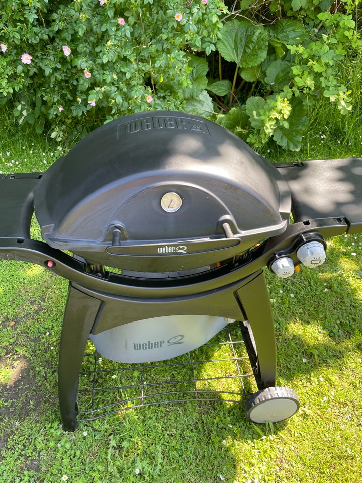 Gasgrill Weber model Q300