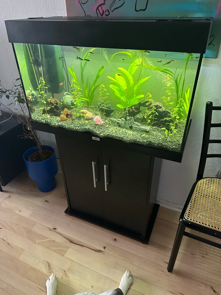 Akvarium, 125 liter, b: 80 d: 35 h: