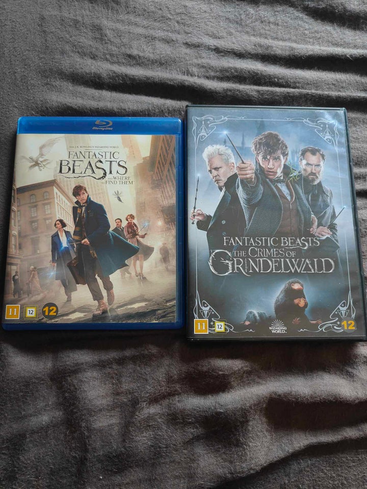 Fantastic Beasts , DVD, eventyr