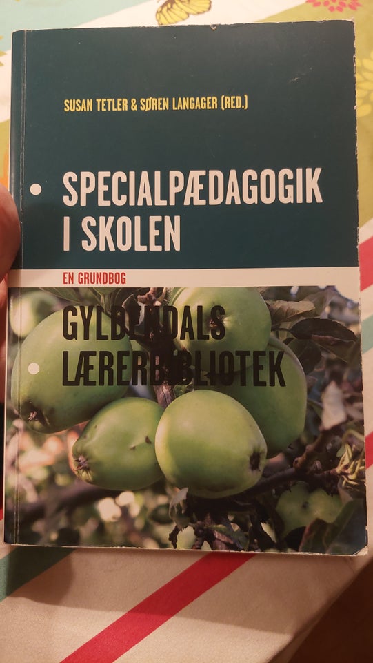 Specialpædagogik i skolen, Susan