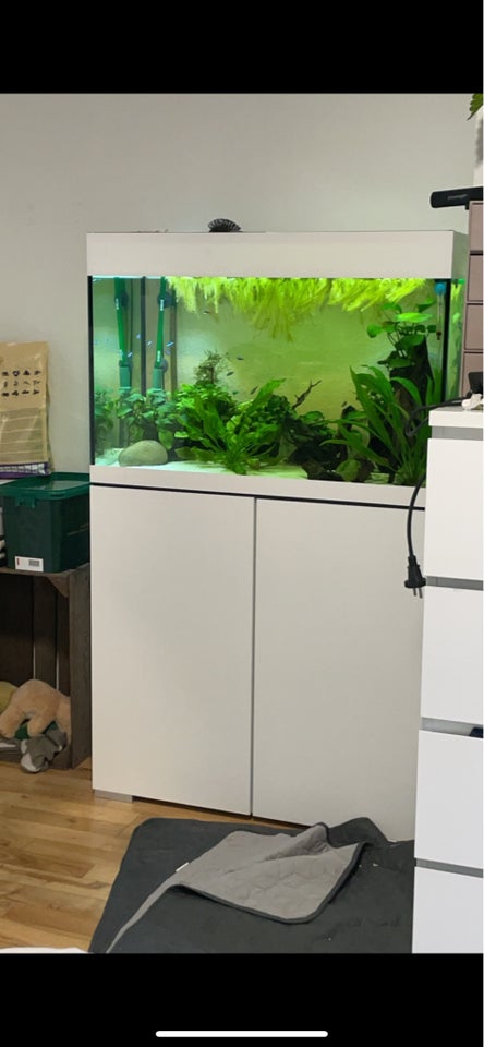 Akvarium, 175 liter