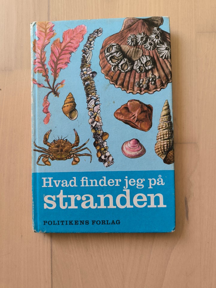 Hvad finder jeg på stranden