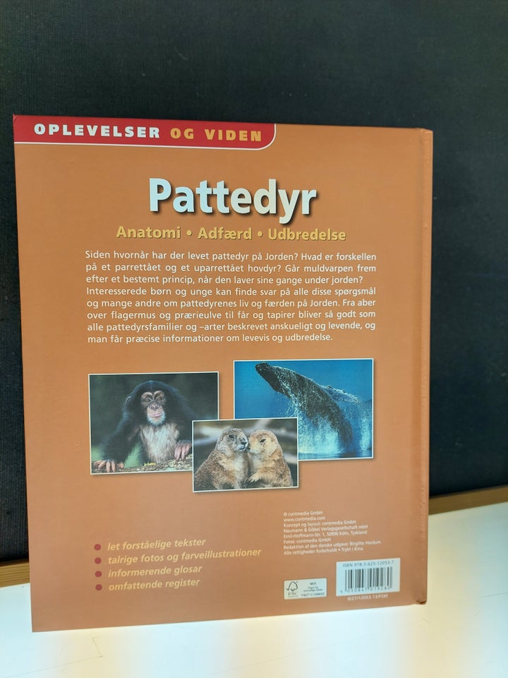 Pattedyr, Birgitte Hørdum