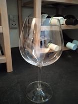 Glas Vinglas Riedel