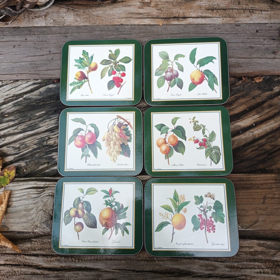 Jason Coasters  Redouite Fruit