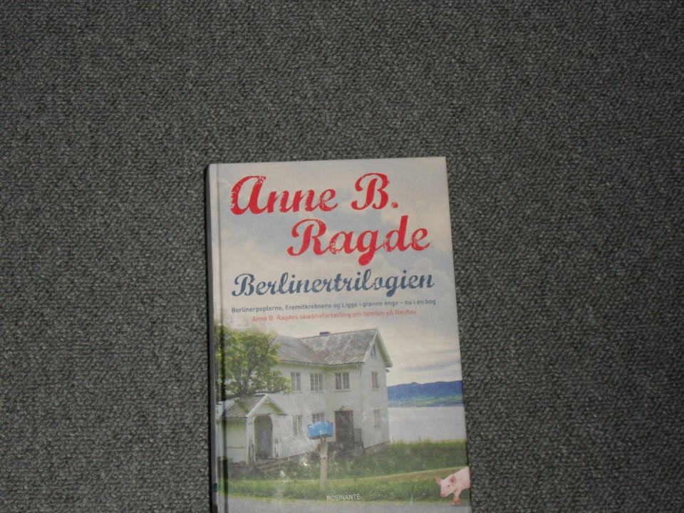 Berlinertrilogien, Anne Ragde,