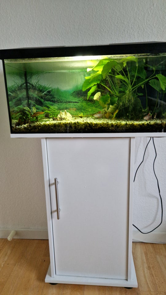 Akvarium, 54 liter, b: 60 d: 30 h: 30