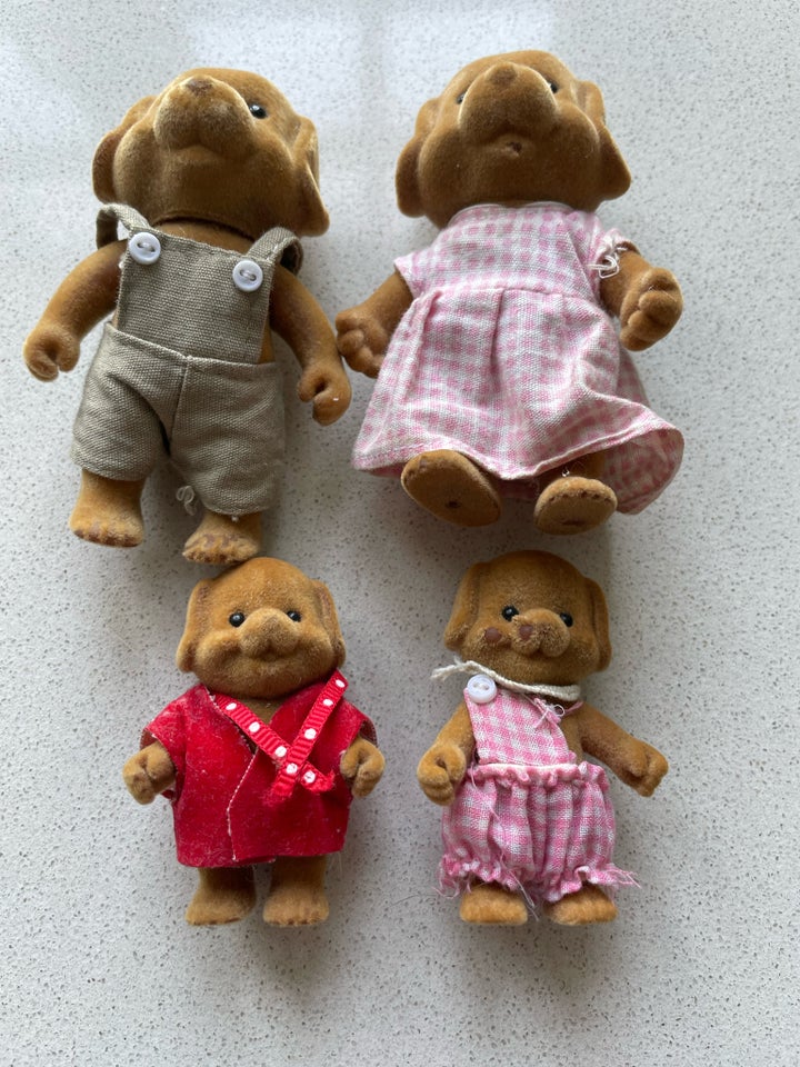 Dyr, Hunde familie, Sylvaniens