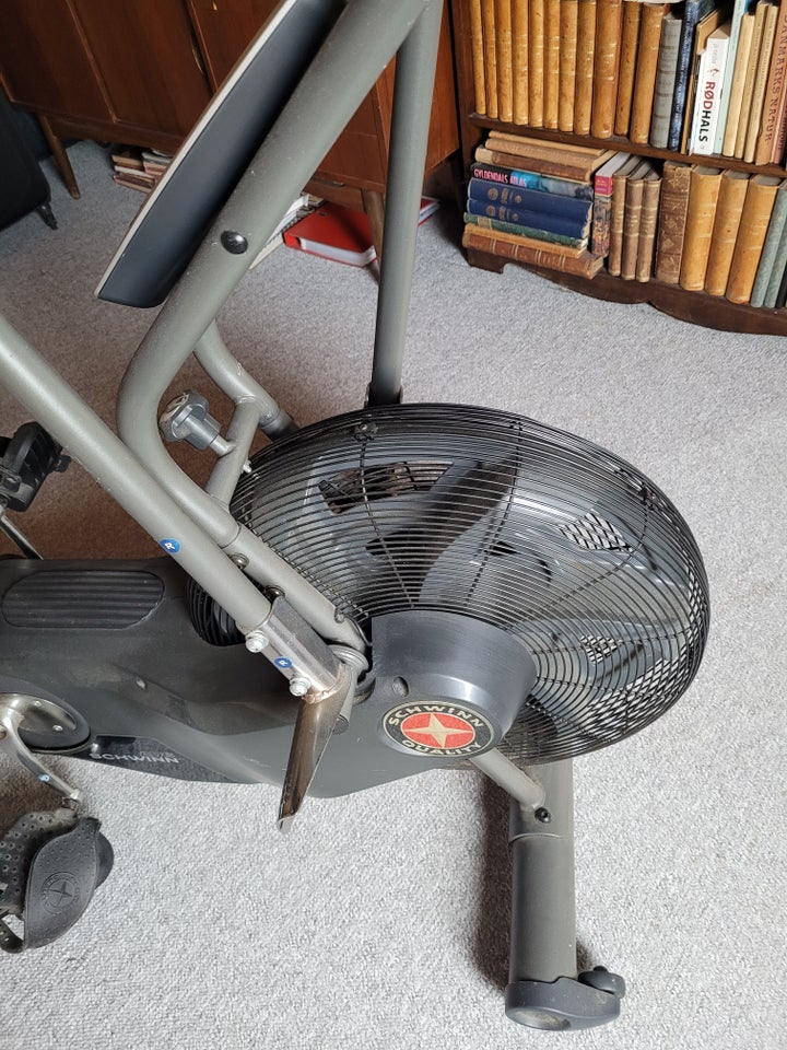 Crosstrainer, Schwinn Airdyne