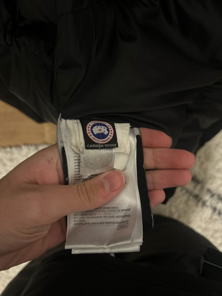 Jakke, str. XL, Canada goose