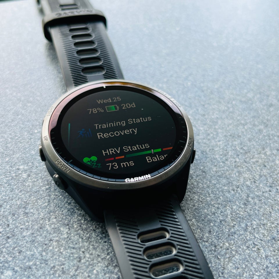 Smartwatch, Garmin