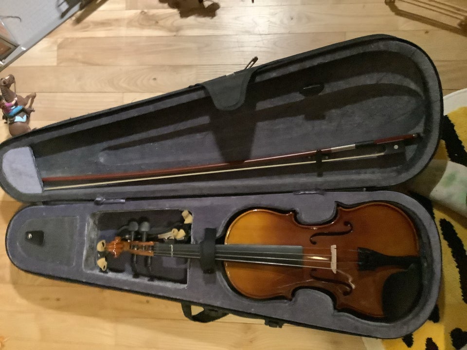 Violin, Stagg Junior violin