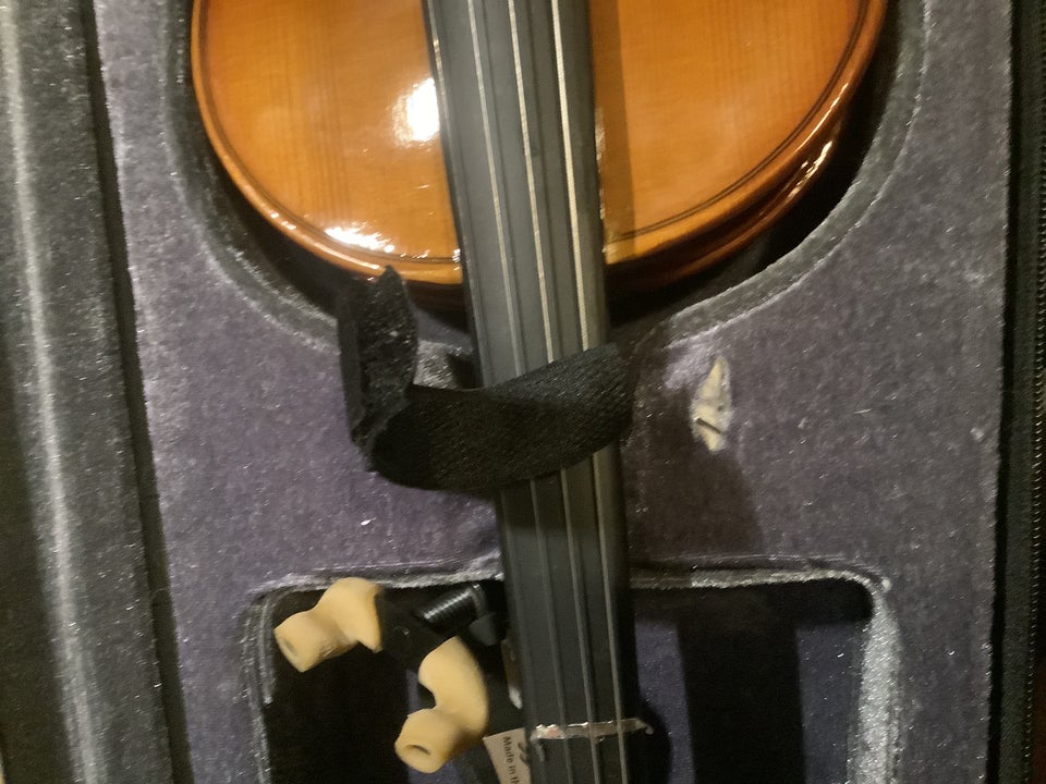 Violin, Stagg Junior violin