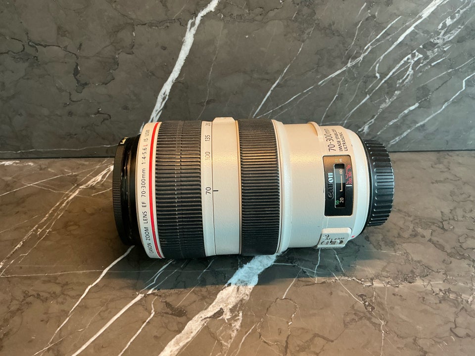 Canon EF 70-300mm f/4-5.6 USM L IS,