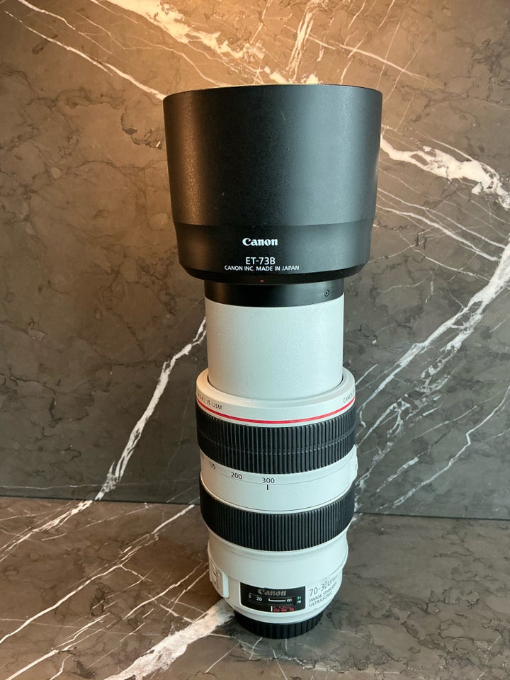 Canon EF 70-300mm f/4-5.6 USM L IS,