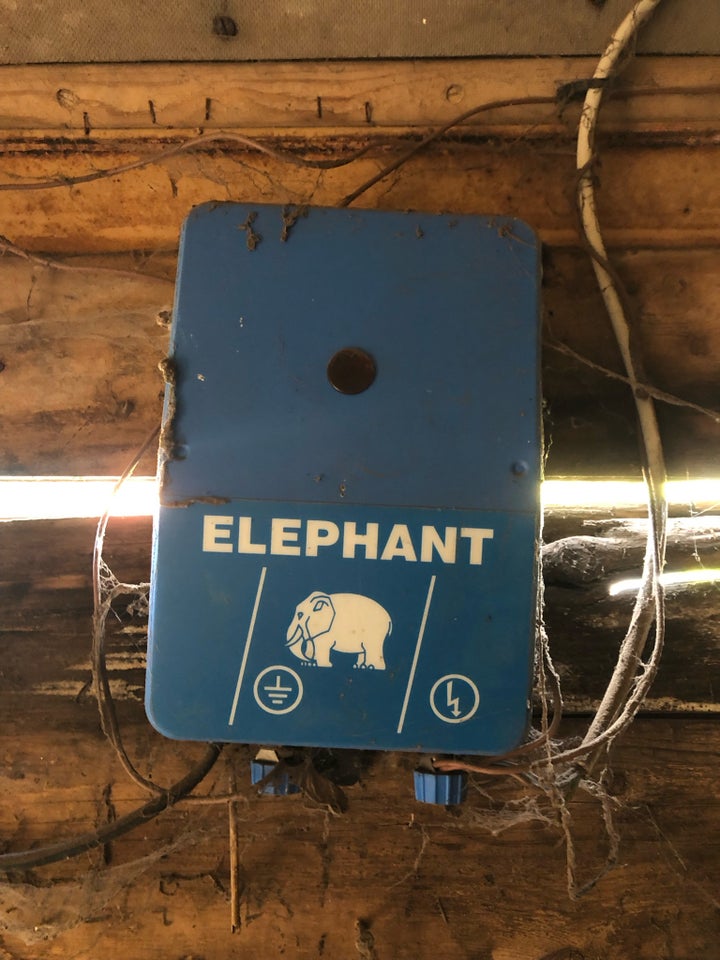 Andet, Elephant M1