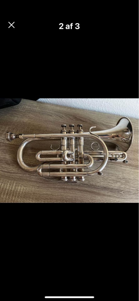 Cornet Getzen Eterna