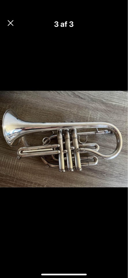 Cornet Getzen Eterna