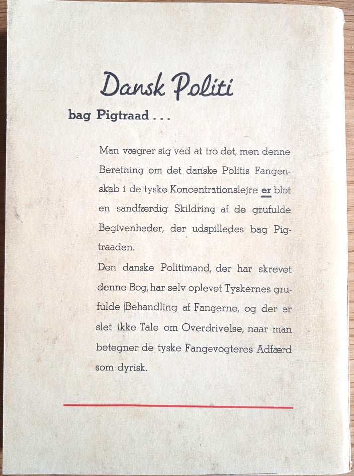 Dansk Politi bag Pigtraad, Poul