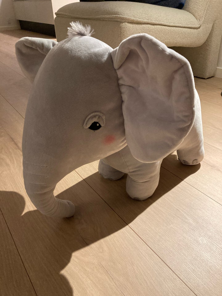 Elefant, Hogm