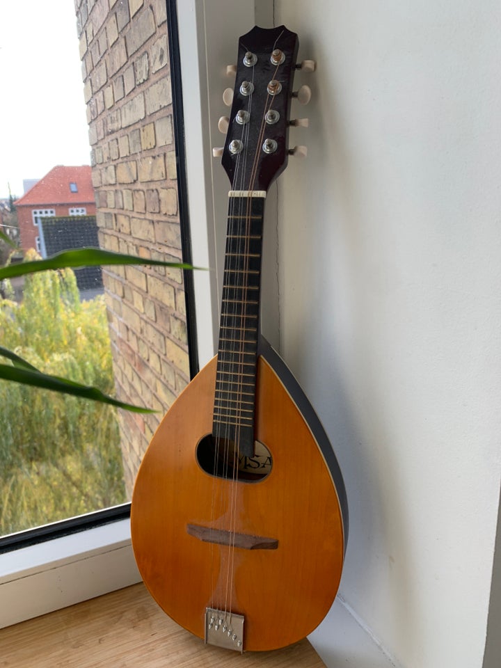 Mandolin, MSA