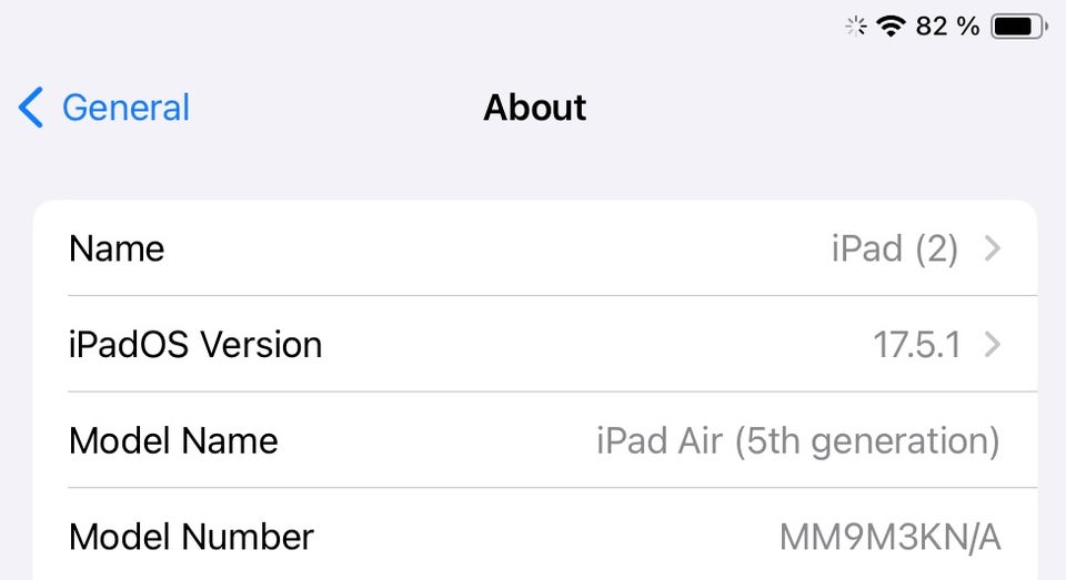 iPad Air 5 256 GB Perfekt
