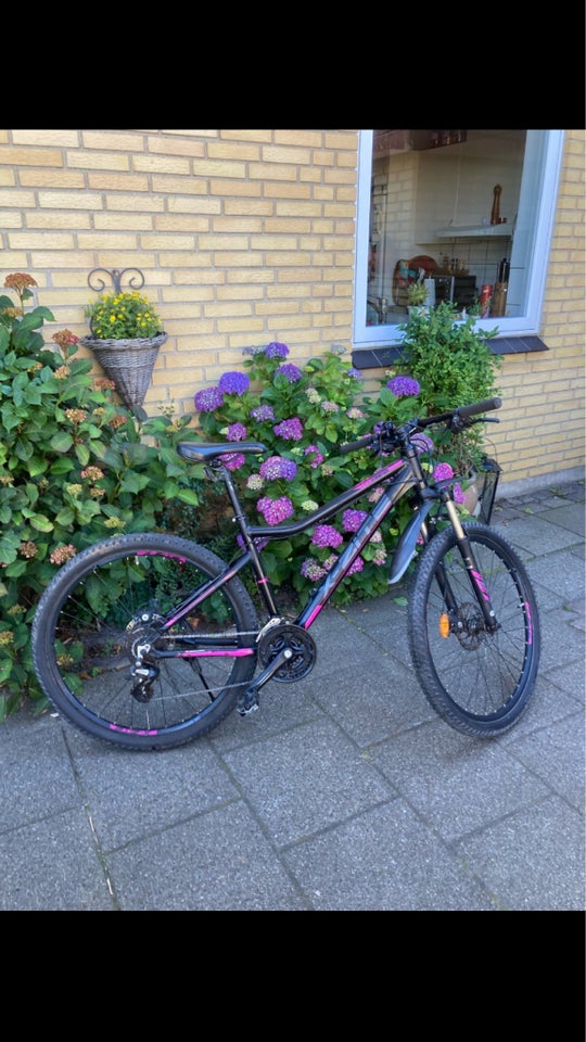 Herrecykel X-Zite MTB 43 cm stel